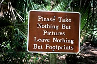 Take nothing but pics leave footprints